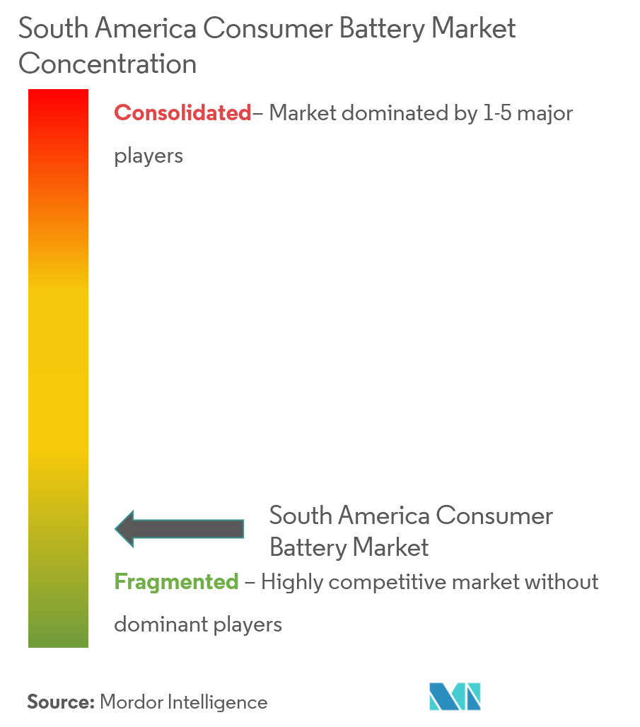 Концентрация рынка потребительских аккумуляторов в Южной Америке